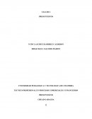 TECNICO PROFESIONAL EN PROCESOS COMERCIALES Y FINANCIEROS.