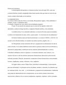 HISTORIA DELA FARMCIA.