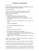 Los sismos y sus consecuencias.