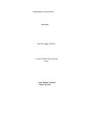 Competencias comunicativas.Pre- tarea