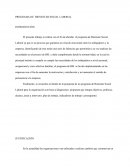 PROGRAMA DE BIENESTAR SOCIAL LABORAL