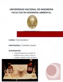 Termoquímica: Fundamentos y leyes fundamentales