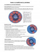 TEMA 4: EL DISEÑO ANTE EL ENTORNO.