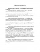 Mediación Experiencia