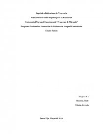 Programa Nacional de Formación de Enfermería Integral Comunitaria. Página 1