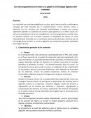 Los microorganismos del rumen y su papel en la fisiología digestiva del rumiante