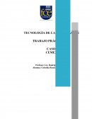 Tecnología de la Información - Trabajo Práctico