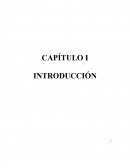 CAPÍTULO I INTRODUCCIÓN