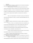 Llamada de atención. El magnesio es considerado uno de los minerales más importantes para el funcionamiento correcto del cuerpo humano.