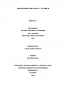 PROGRAMA ADMINISTRACION DE EMPRESAS