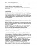 Tema 5. Fisiología de la circulación sanguínea.