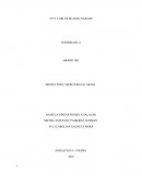 Proyector Casero Para El Movil michel padierna.