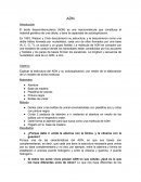 CARIOTIPO HUMANO. ADN