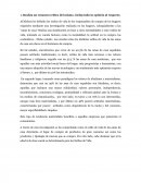 Realiza un resumen crítico del mismo, incluyendo tu opinión al respecto.