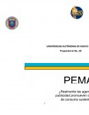 Realmente las agencias publicitarias promueven campañas de consumo sustentable?.