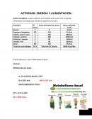 Actividad: Energia y alimentacion