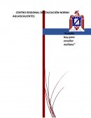 Ensayo colaborativo. El trayecto de la formación