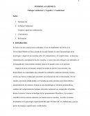 Informe del enfoque conductual