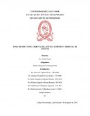 TEMA DE DISCUCIÓN: TRIBUNAL DE JUSTICIA EUROPEO Y TRIBUNAL DE CUENTAS