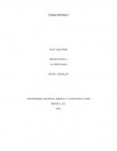 FUNCIÓN ORGANIZACIÓN Y MÉTODOS.