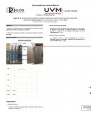 Laboratorio de Química Orgánica 1.