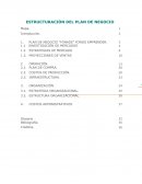 ESTRUCTURACIÓN DEL PLAN DE NEGOCIOS