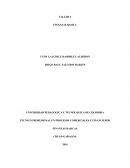 TALLER 2 CAPITAL DE TRABAJO.