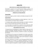 Adultez (Esta etapa se le conoce como dueño de su vida)