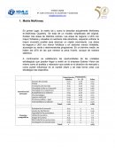 Matriz general - Matriz McKinsey.
