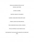 MIGRACION ILEGAL (AFRICA a EUROPA)