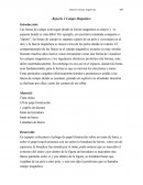 Reporte. Campo magnético.