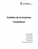 Análisis de la empresa “Castellano”