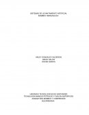 TECNOLOGIA MANEJO PETROLEO Y GAS EN SUPERFICES ASIGNATURA BOMBEO Y COMPRESION