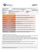 Actividad - organización y jerarquización.