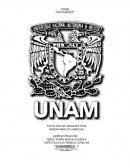 El arquitecto y su participacion en las diferentes empresas, sociedades e instituciones.