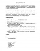 Informe tecnico- pautas.