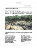 LA PÉRDIDA DE LA MASA FORESTAL EN ASIA