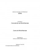 SERVICIO NACIONAL DE APRENDIZAJE SENA