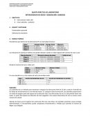 QUINTA PRÁCTICA DE LABORATORIO INTERCONEXION DE REDES Y GENERACIÓN SUBREDES