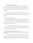 ¿Está la estructura de empresa concretada?