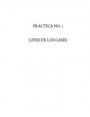 Leyes de los gases practica 1 esime zacatenco.