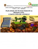 Plan anual tecnologias informatica.