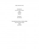 MATRIZ DOFA Departamento de Cundinamarca.