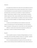 En el siguiente ensayo describe un breve relato sobre uno de los problemas que existen en mi comunidad en donde podremos saber qué modelo de mapa podremos utilizar ya sea Ráster o Vectorial dependiendo las cosas que queramos representar en un determinad