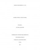 Teoria de las restricciones.