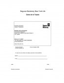 Seguros Monterrey New York Life