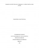 PARADOJAS CONSTITUCIONALES: EN MEDIO DE LA VALIDEZ E INEFICACIA DEL ESTADO
