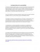 3 principios de la sustentablidad