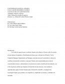 Elaboración de plan de negocios.