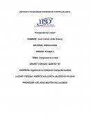 Desarrollo de un programa generador de números congruenciales lineales: Diseño, implementación y resultados